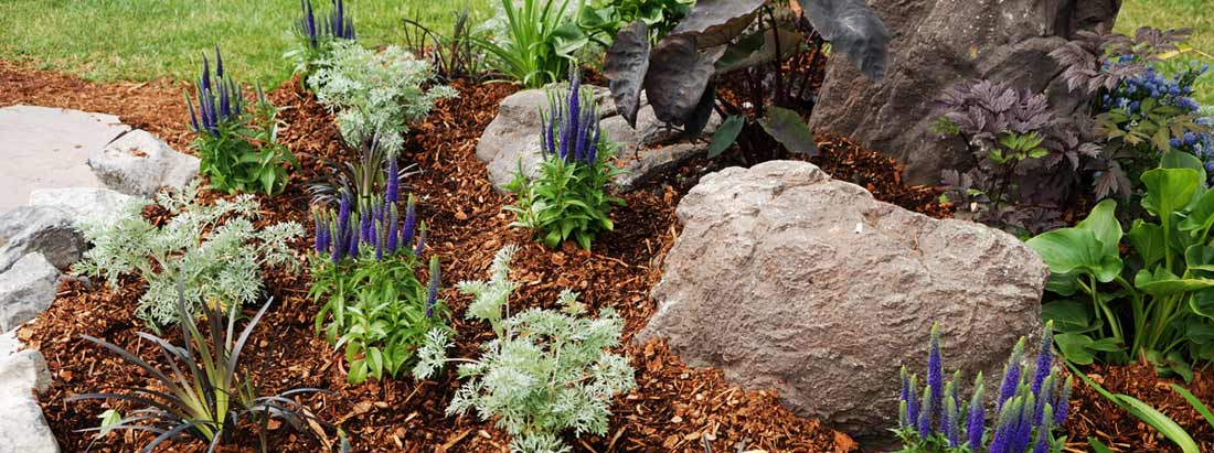 Decorative Bark Mulch in Essex