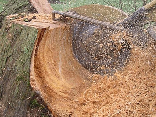 Stump Grinding